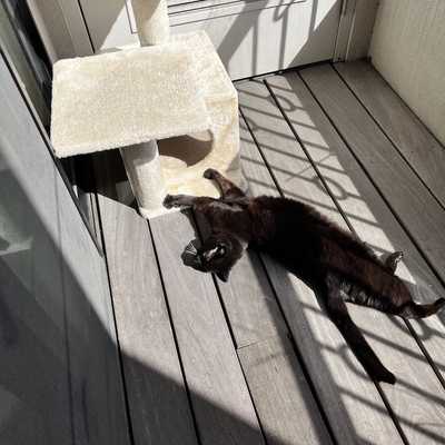 Relaxing in the sun on the balcony