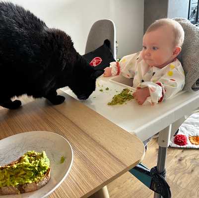 Kiki overseeing Avery's explorations with solids